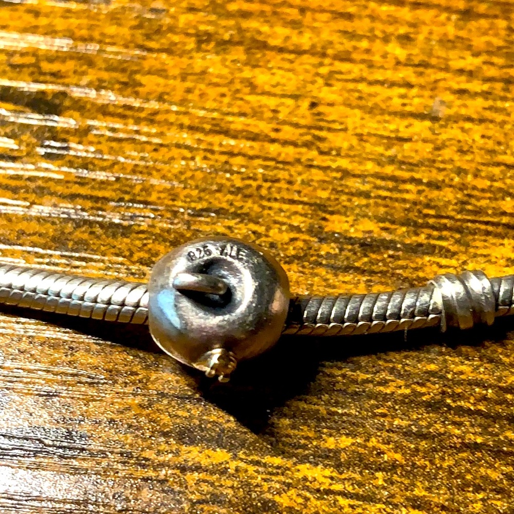 Pandora Apple with Worm Charm
